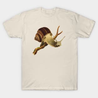 Simple snail T-Shirt